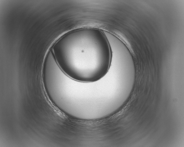 X0000073490948200608140838