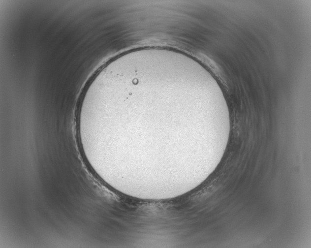 X0000073490950200608140839