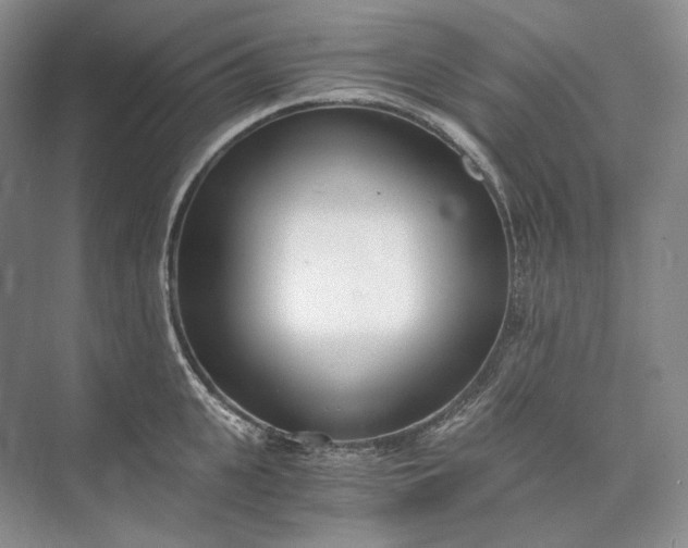 X0000073490951200608140839