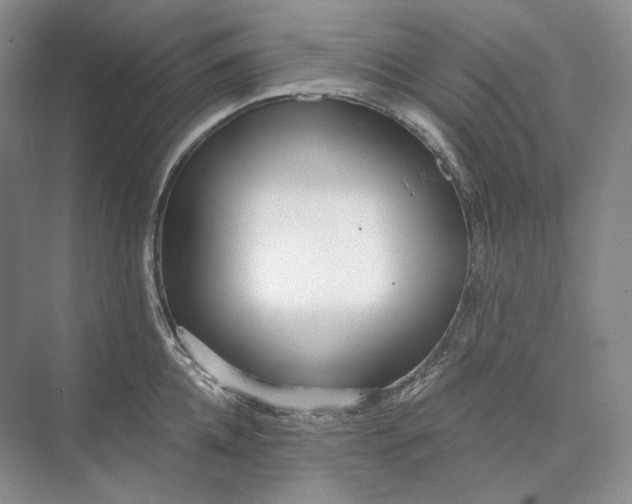 X0000073490952200608140839