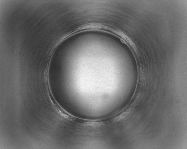 X0000073490953200608140839