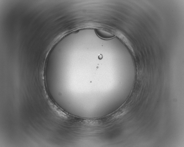 X0000073490954200608140839