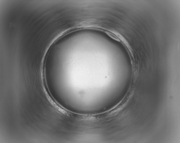 X0000073490957200608140839