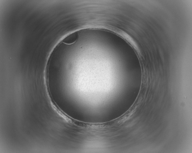 X0000073490958200608140839