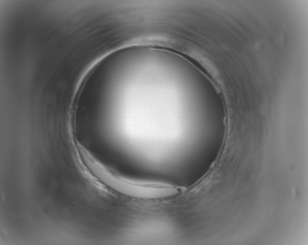 X0000073490960200608140839