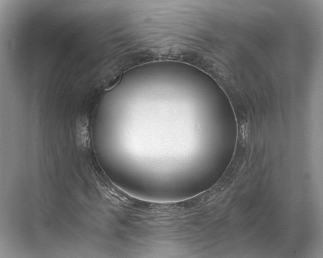 X0000073490963200608140838