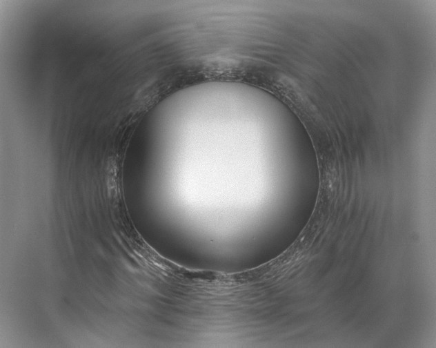 X0000073490964200608140838