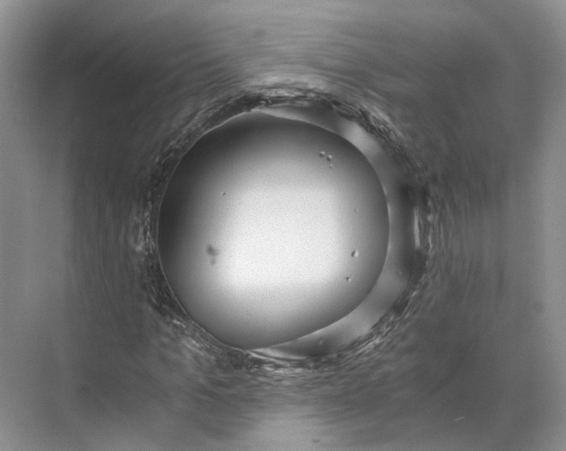 X0000073490965200608140838