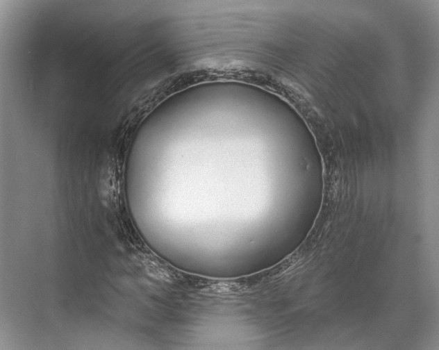 X0000073490966200608140838