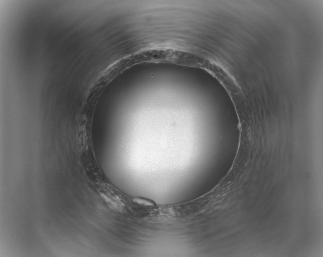 X0000073490968200608140838