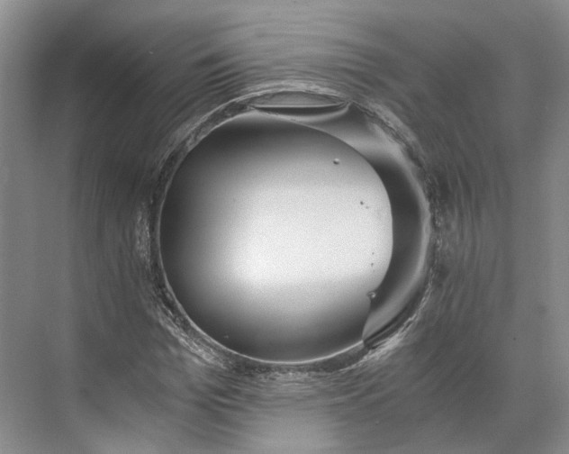 X0000073490969200608140838