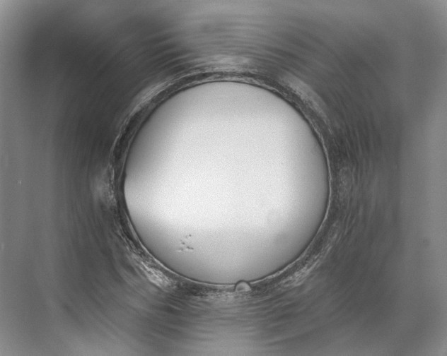 X0000073490970200608140838