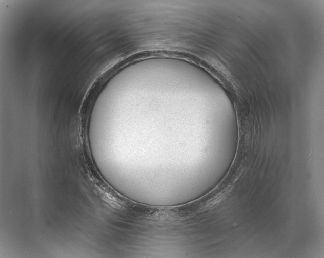 X0000073490974200608140838