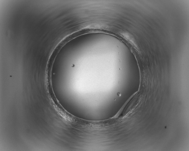 X0000073490976200608140838