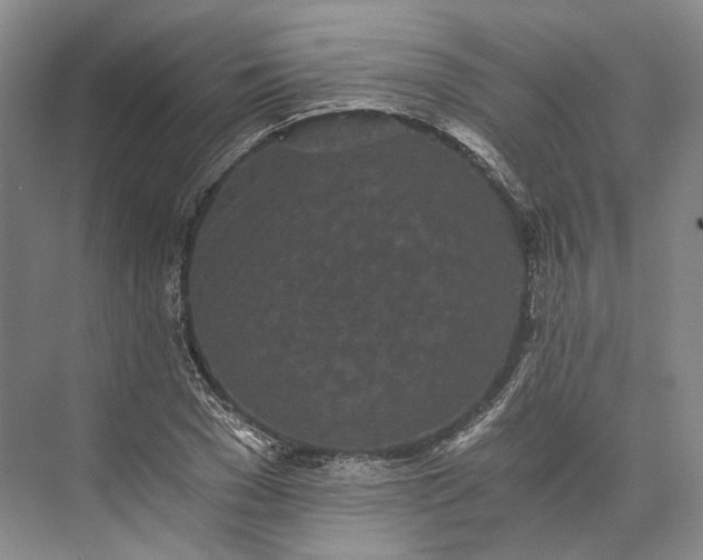 X0000073490977200608140838