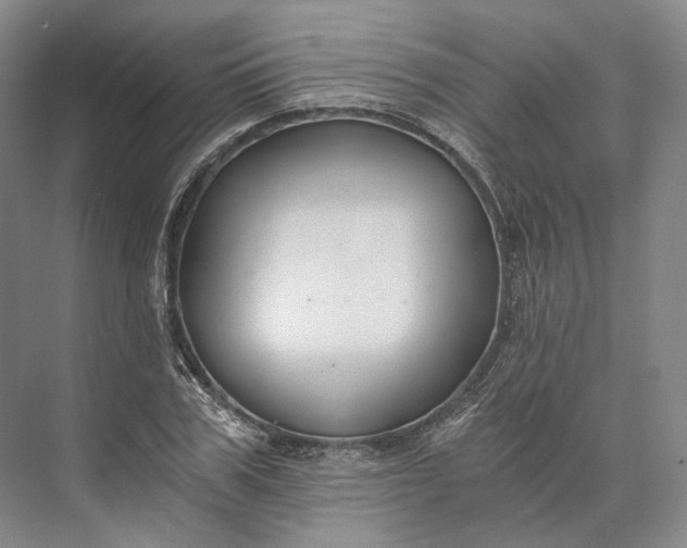 X0000073490979200608140838