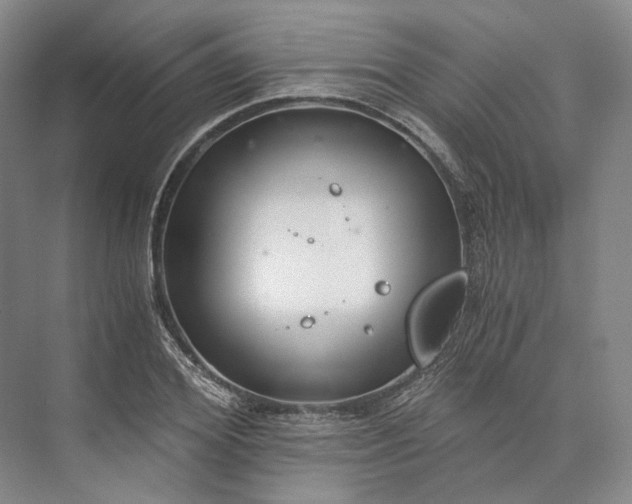 X0000073490980200608140838