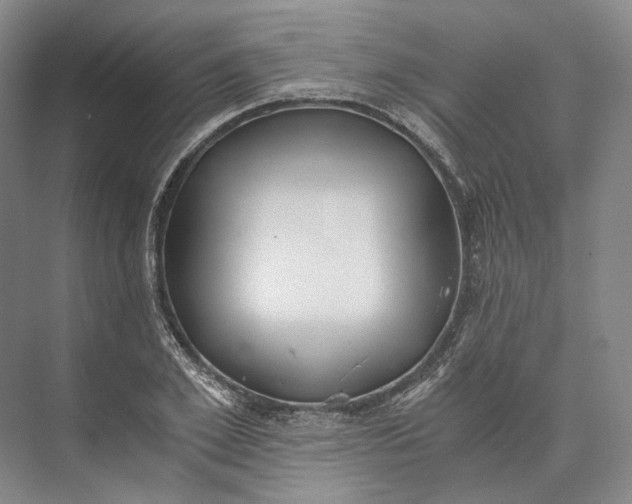 X0000073490981200608140838