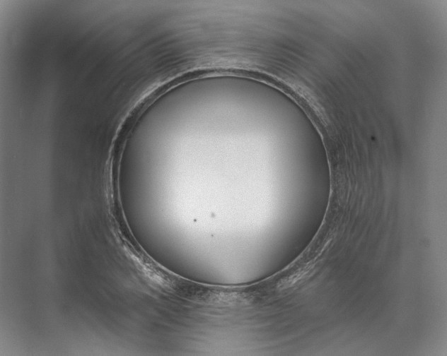 X0000073490982200608140838