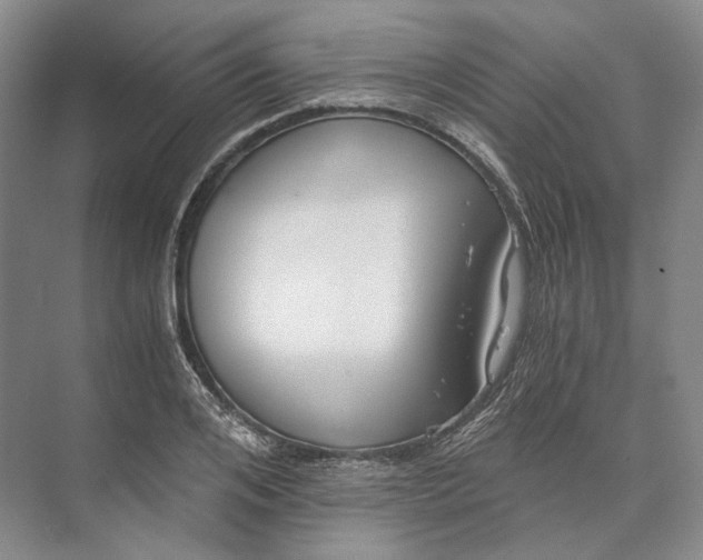 X0000073490984200608140837