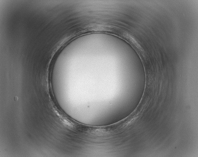 X0000073490986200608140837