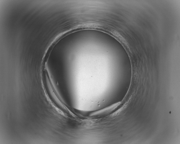 X0000073490989200608140837