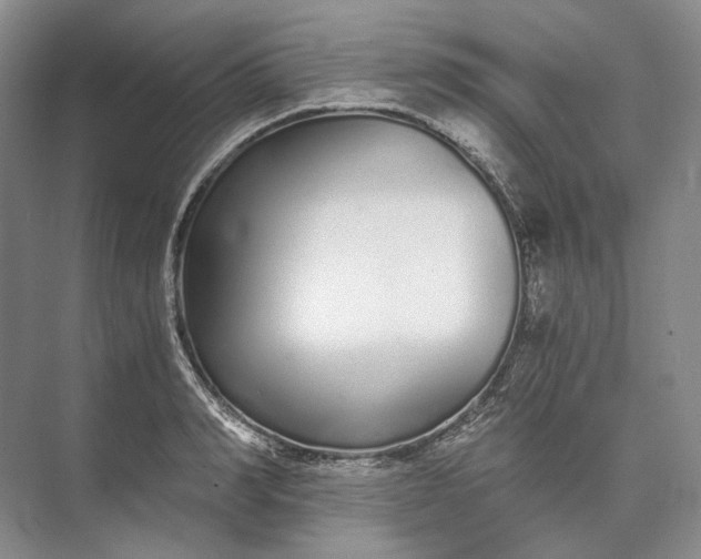 X0000073490990200608140837