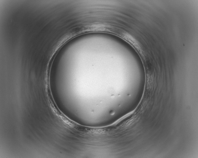 X0000073490994200608140837