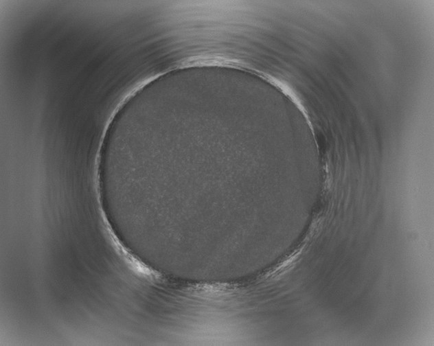 X0000073490995200608140837