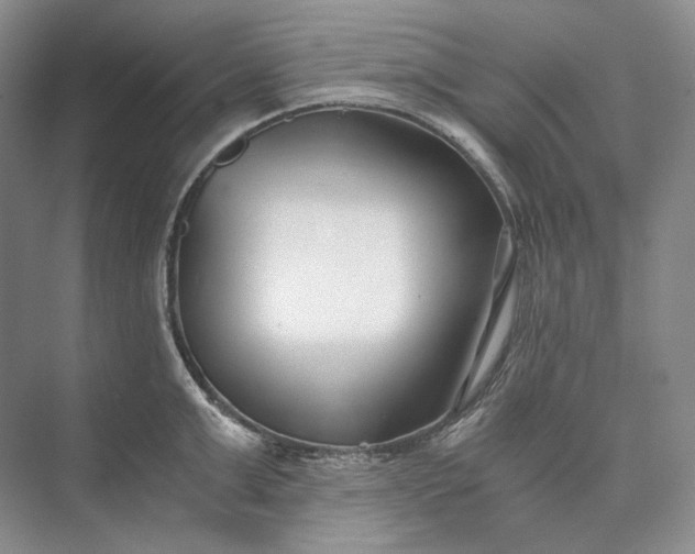 X0000073490999200608140837