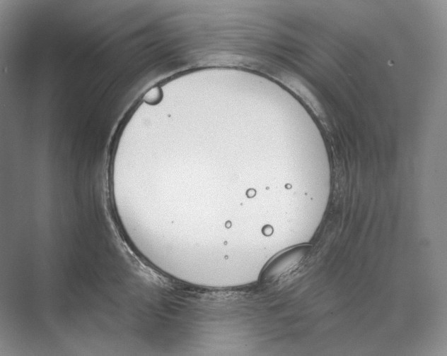 X0000073491000200608140837