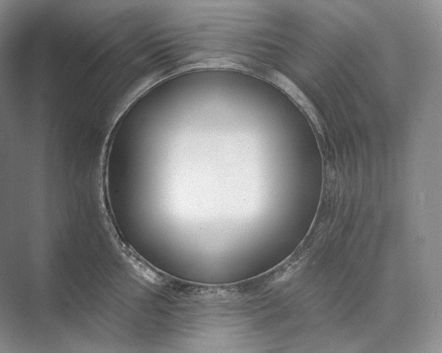 X0000073491002200608140837