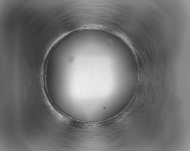 X0000073491003200608140837