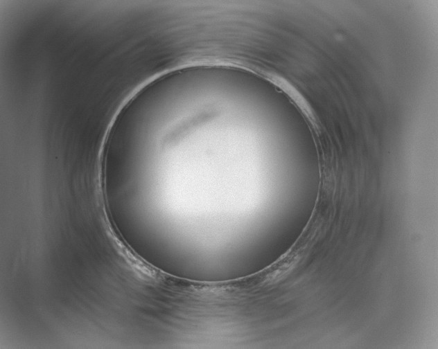 X0000073491004200608140837