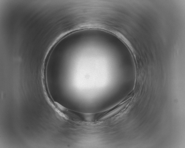 X0000073491005200608140837