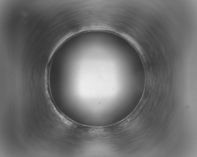 X0000073491006200608140837