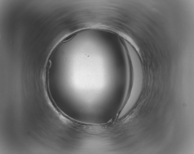 X0000073491007200608140837