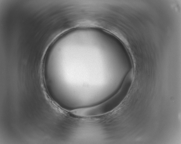 X0000073491008200608140837