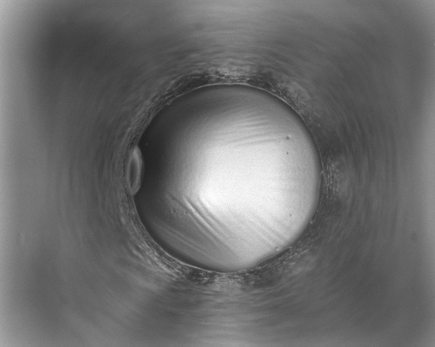 X0000073491009200608140836