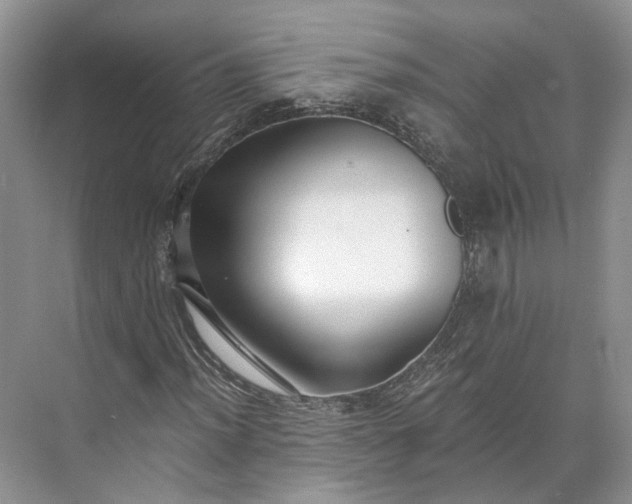 X0000073491012200608140836