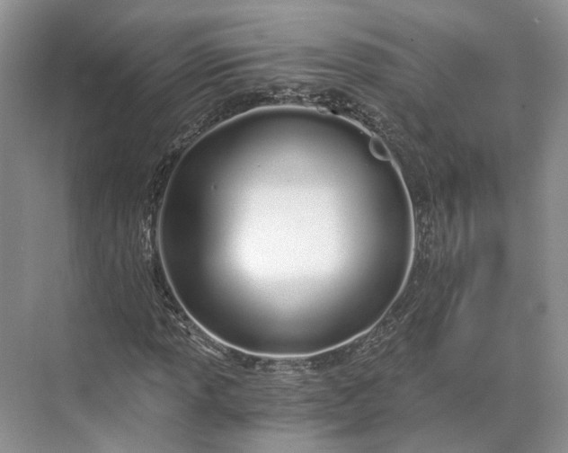 X0000073491013200608140836