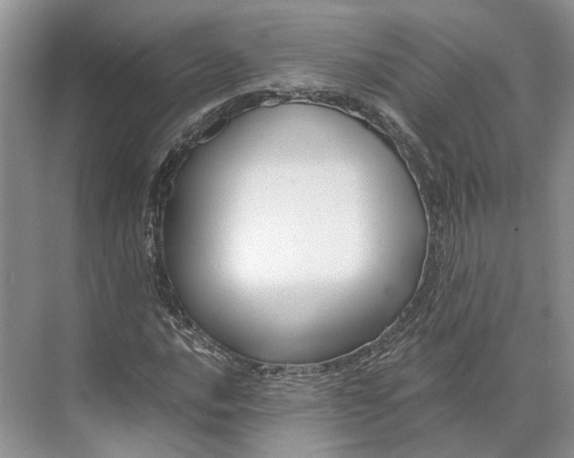 X0000073491016200608140836