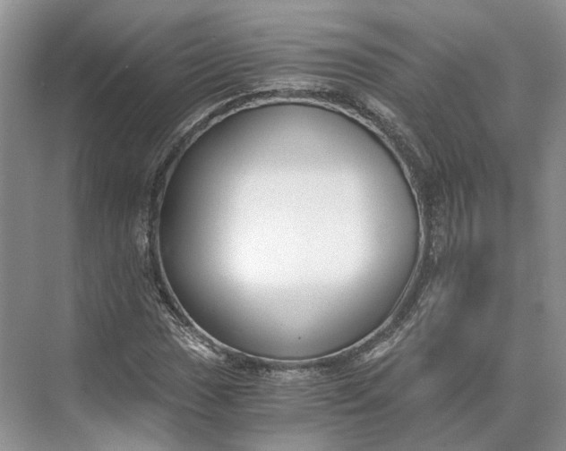 X0000073491017200608140836