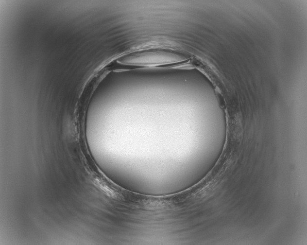 X0000073491018200608140836