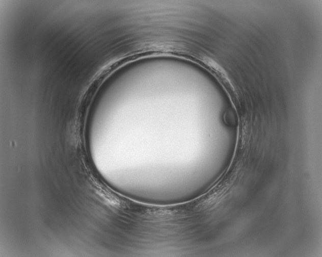 X0000073491019200608140836