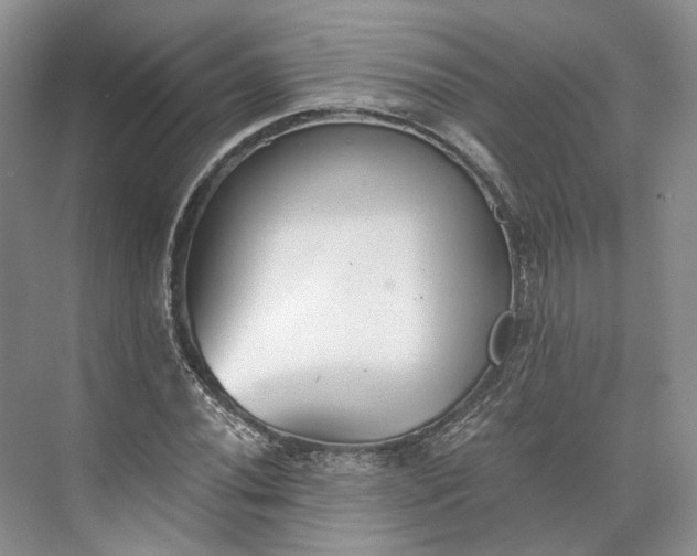 X0000073491020200608140836