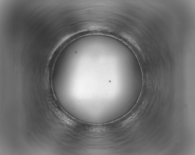 X0000073491021200608140836