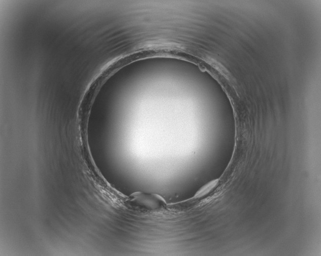 X0000073491022200608140836