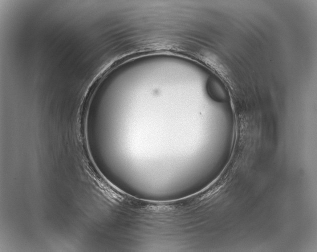 X0000073491023200608140836