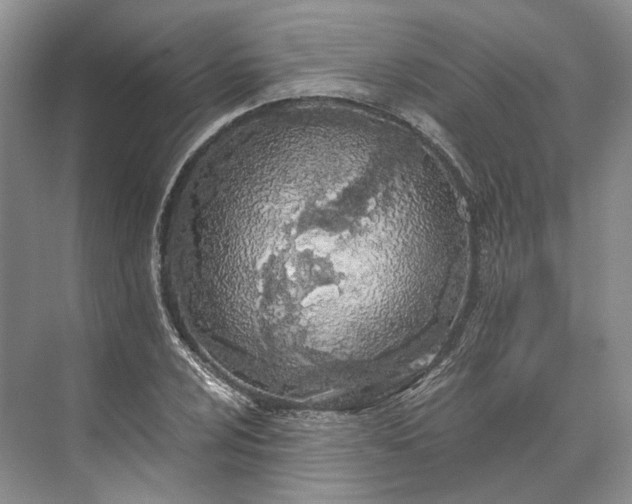 X0000073491024200608140837